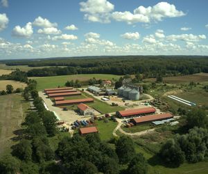 Ogromne gospodarstwo w warmińsko-mazurskim na sprzedaż. Było tam największe stado bizonów w Polsce