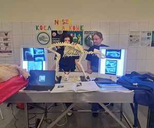 Małopolska Noc Naukowców 2025. Kiedy się odbędzie? Jakie będą atrakcje?