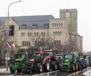 Poznań. Ogólnopolski protest rolników