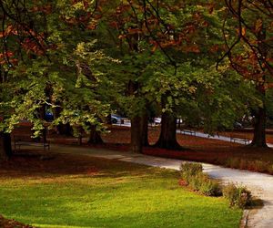 Świeradów-Zdrój to najlepsza miejscowość jesienią według AI