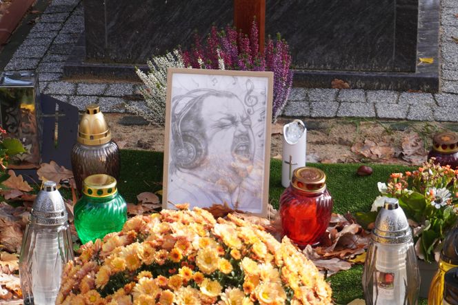 Grób Stanisława Sojki