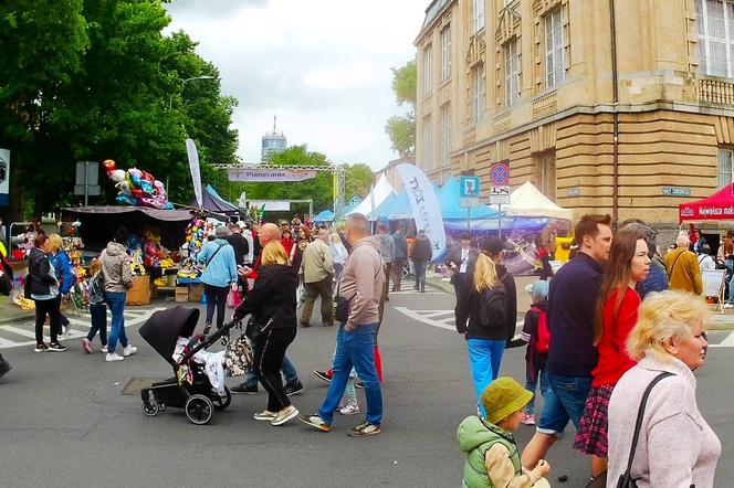 Piknik nad Odrą 2024