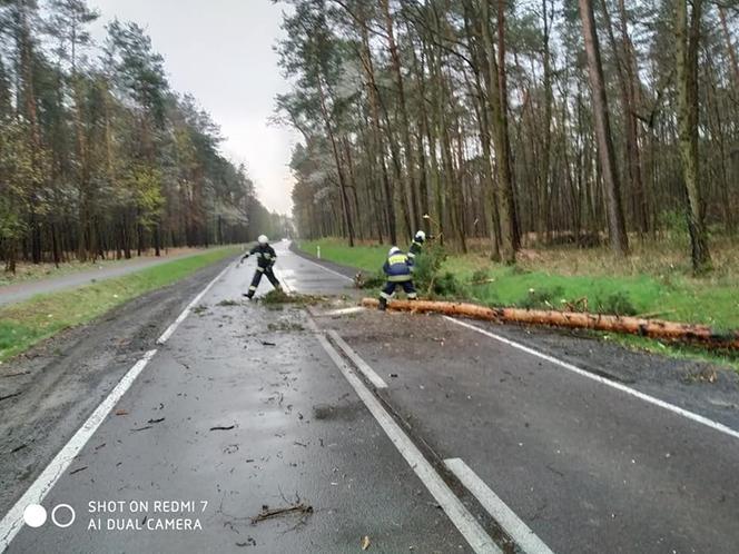 Poniedziałek Wielkanocny. Powalone drzewa i ulewy (ZDJĘCIA) 