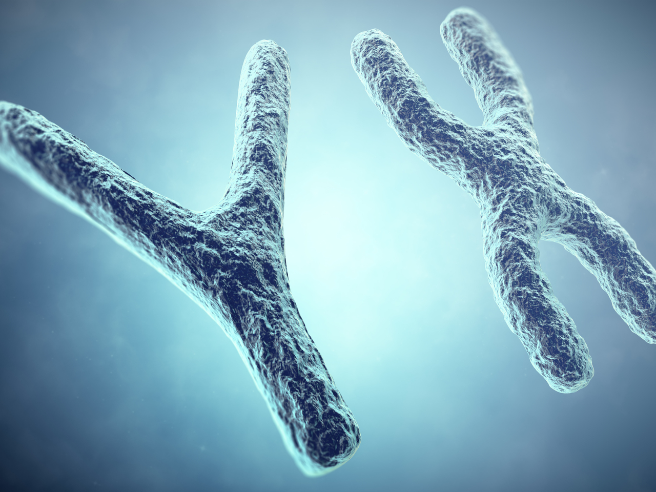 Zespół kruchego chromosomu X  - przyczyny, objawy, leczenie