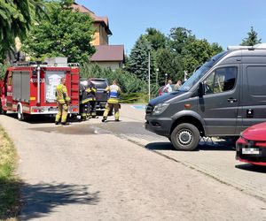 Kobieta zastrzelona na parkingu przy szkole. Znaleziono też ciało jej męża