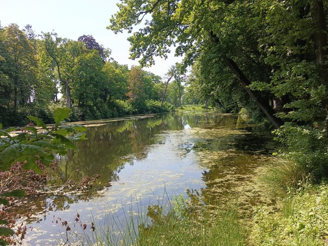 Parki podworskie w powiecie gdańskim