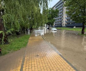 W Elblągu wylała rzeka. Wprowadzono stan pogotowia przeciwpowodziowego. „Każdy z nas się boi”