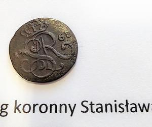 Zabytkowe monety trafią do Muzeum Narodowego w Szczecinie