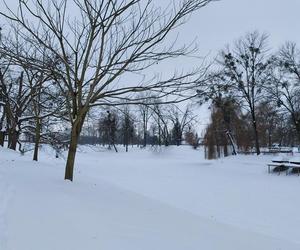 Zamojski Park pod śniegiem