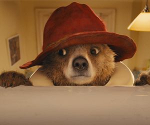 Miś Paddington