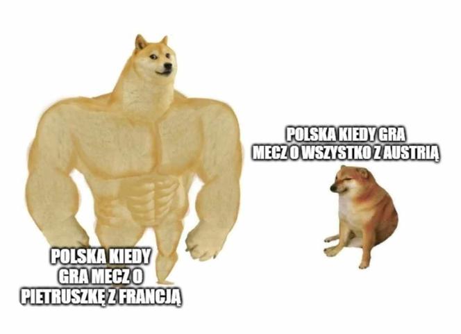 Polska - Francja. Zobacz najlepsze MEMY z meczu o honor