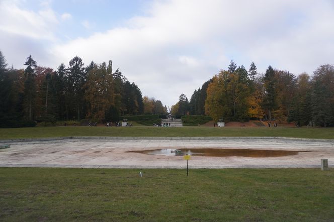 Cmentarz Centralny podczas Wszystkich Świętych