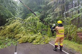 Działania straży podczas wakacji