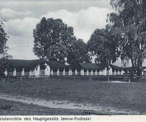 Stadnina koni w Janowie Podlaskim na starych zdjęciach