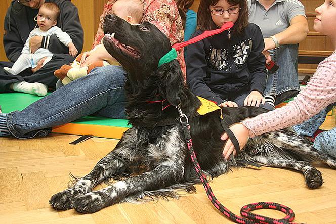 Dogoterapia