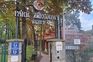 Park Zdrojowy w Krakowie