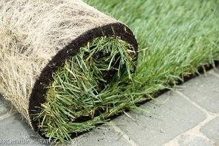 Sposób zakładania trawnika: trawnik z siewu czy z rolki - jaki wybrać?