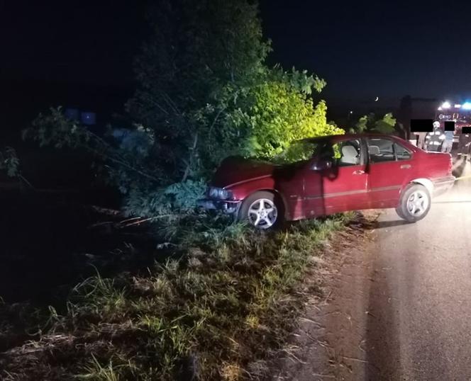 Pies wyskoczył wprost pod koła BMW. Matka z dziećmi zjechała do rowu [ZDJĘCIA]