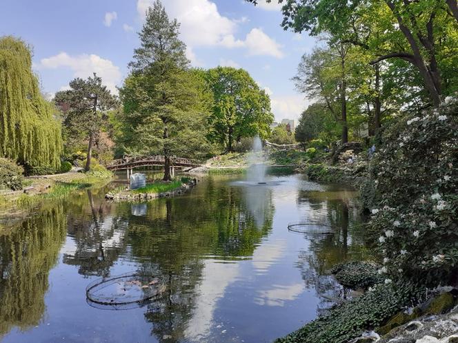 OGRÓD BOTANICZNY 