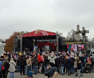 NGOSY niezadowolone, Zamek wręcz przeciwnie. Podsumowanie obchodów imienin św. Marcina w nowej formule