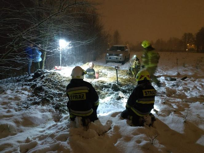 Zagoniła się do lisiej nory