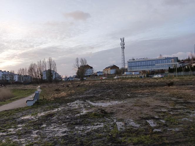 Wycinka drzew pod kolejne bloki. Mieszkańcy pozostaną bez miejsca do wypoczynku?