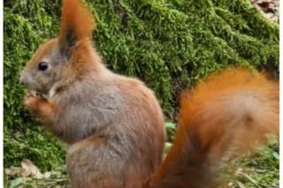 Wiosna zawitała do Wrocławia. Zebraliśmy Wasze zdjęcia pierwszych oznak wiosny, Zobaczcie, jakie piękne!
