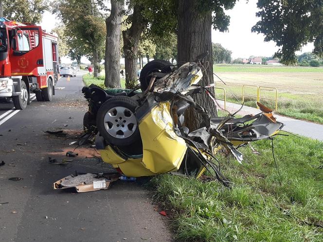 Śmiertelny wypadek pod Świebodzinem. Auto 37- i 32-latka zostało rozerwane na strzępy [ZDJĘCIA].