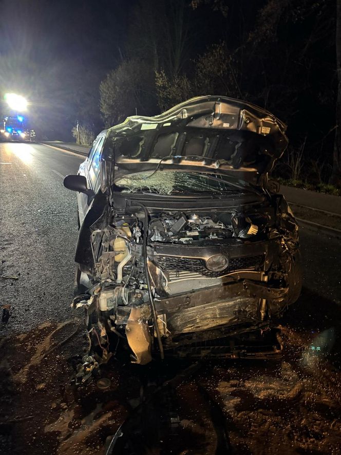 Tragiczny wypadek w miejscowości Lichynia 