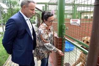 Siedem psów z Radys jest już w bydgoskim schronisku. Niedługo dojadą kolejne