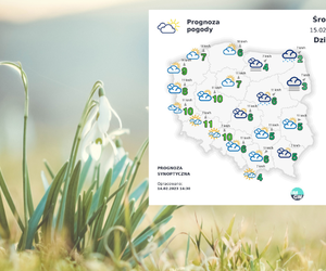 Atak wiosny! Nawet 11 stopni na plusie. W tych miejscach będzie najcieplej 