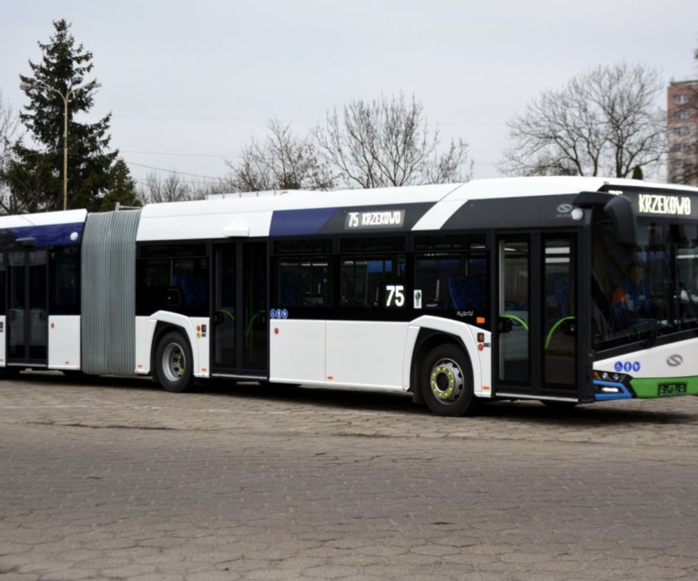 Zatrzasnęła dłoń pasażerki i odjechała. Sprawa kierowcy autobusu trafiła do sądu