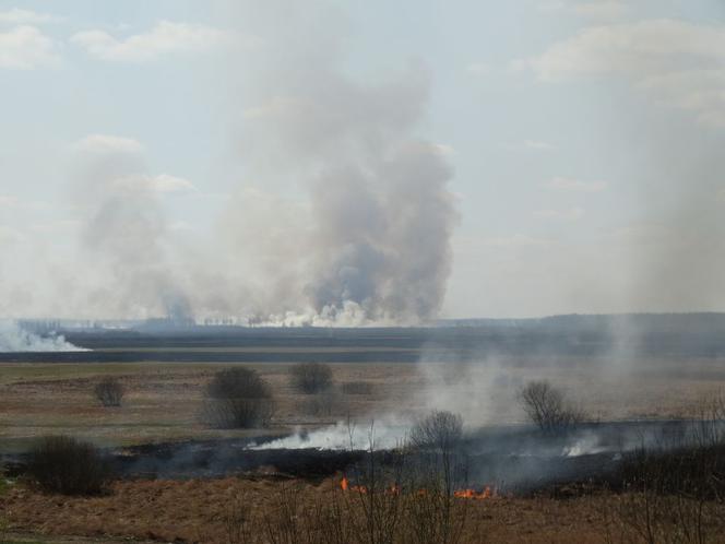 Biebrzański Park Narodowy: Tak płonie natura. Wstrząsające zdjęcia