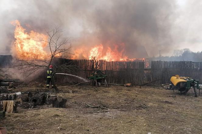 Pożar stodoły w Lubieni. Ucierpiały zwierzęta, potrzebna pomoc dla koni