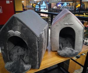 Psiaki opanowały Halę Targową! Za nami wyjątkowe targi 