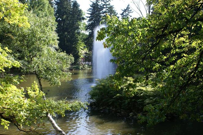 Park Szwedzki w Szczawnie- Zdroju 