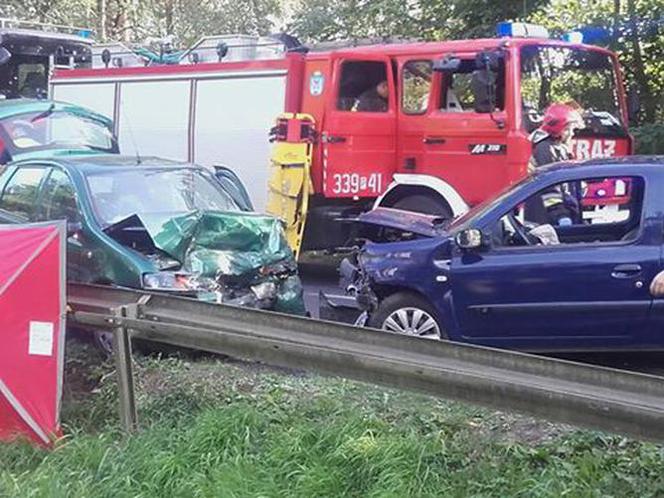 Wypadek na ul. Głuszyna w Poznaniu