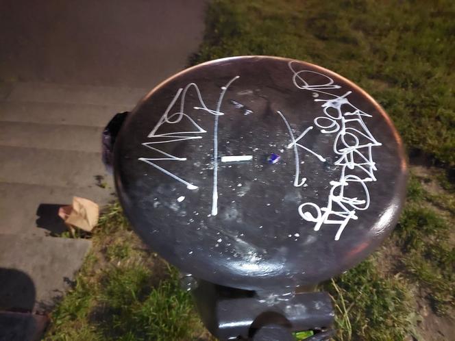 Miłośnicy narkotyków wpadli przez bazgroły. Mieli grzybki, LSD i woreczek z białym proszkiem