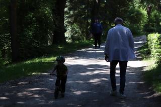 Ciepło i leniwie. Tak wygląda czerwcowe popołudnie w lubelskim skansenie. Zobacz