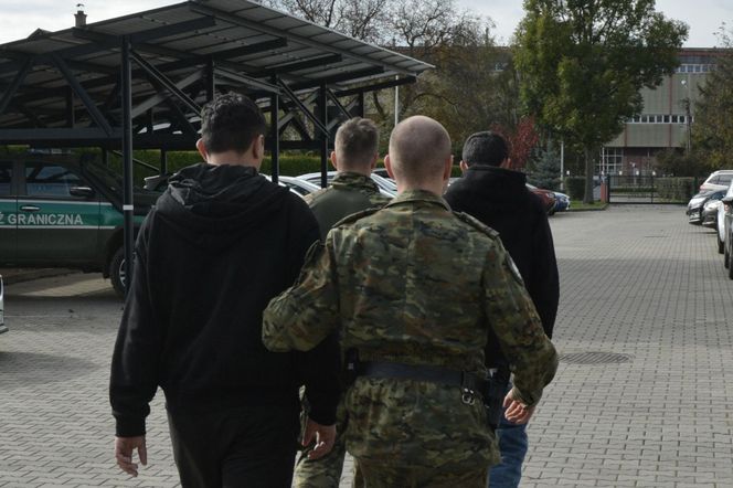 Straż graniczna na zatrzymała na Śląsku 21 obcokrajowców. Wśród nich byli "studenci"