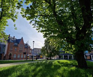 Plac Kościeleckich rozkwita na wiosnę. Bydgoszczanie chętnie wybierają go na spacer