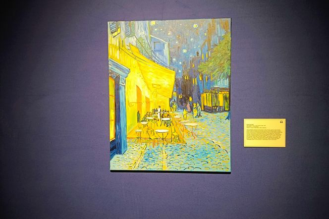 Wystawa "VAN GOGH – The Immersive Exhibition" w Szczecinie