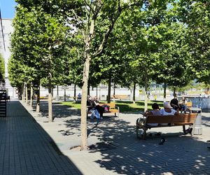 Katowice jak patelnia. Obowiązuje ruch cieniostronny. Nawet gołębie chowają się w cieniu