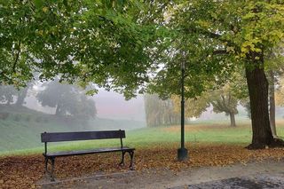 Zamojski Park jesienią