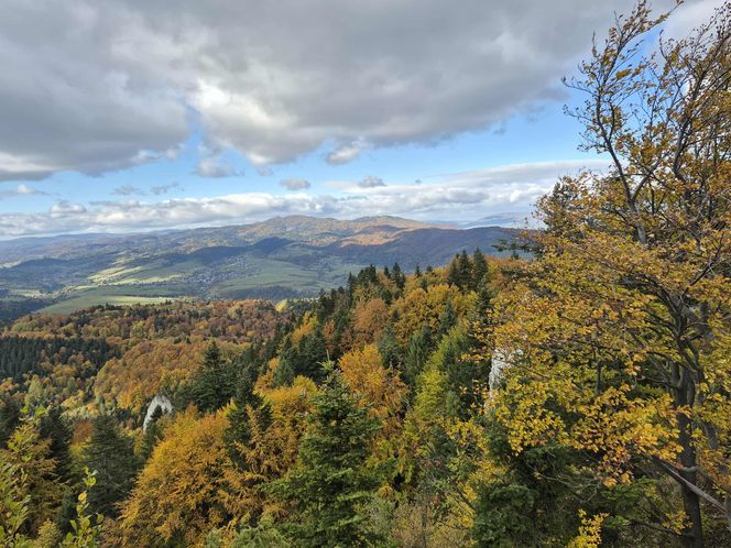 To jedno z najstarszych polskich uzdrowisk najpiękniej wygląda jesienią. Kurowali się w nim Sienkiewicz, Prus, Matejko i Konopnicka