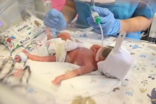 Pięcioraczki z Horyńca kończą roczek! Tak zmieniały się maluszki