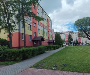 Chciała zarobić, a została bez środków do życia