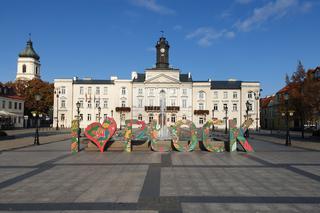 Wybory 2019: Prawo i Sprawiedliwość wygrywa w Płocku głosowanie do Sejmu [AKTUALIZACJA]