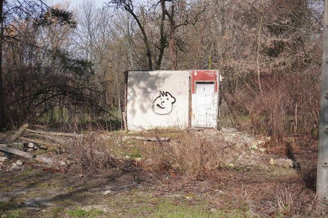 Domek Fiński Ryszarda Kapuścińskiego to ruina - zobacz zdjęcia