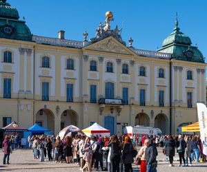 Kamery online w Białymstoku? Mieszkańcy zdecydują, czy Rynek Kościuszki trafi do internetu